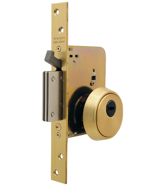 Cerradura de seguridad monopunto R201B, entrada 50 mm, Latonado. TESA