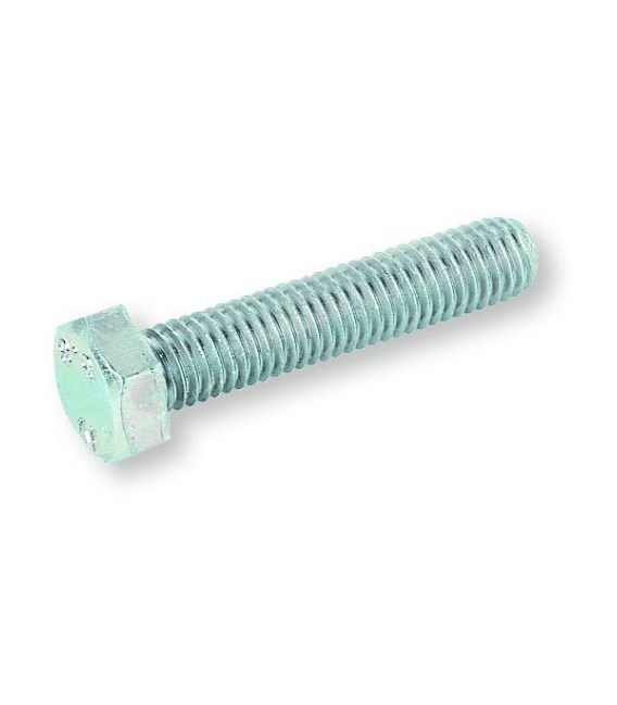 Tornillo cinc 10x060mm FONTANA FASTENERS