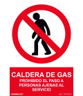 CALDERA DE GAS RD40018