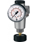Regulador de presión aire con manómetro RIEGLER